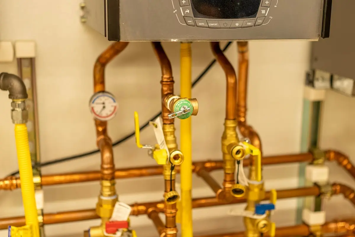 Licensed technician providing Sump Pump Repair for a homeowner in Livingston